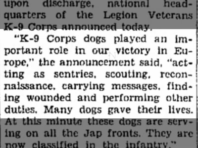 K-9 Corps in the war