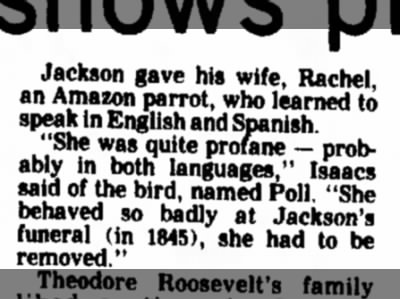 Jackson's foul-mouthed parrot