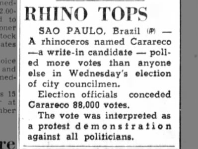 Rhino Carareco elected to city council