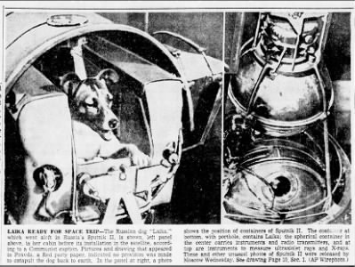 Laika, First Space Dog - The official blog of 