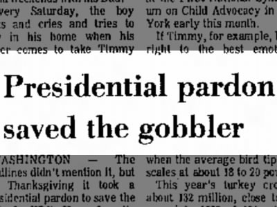 Presidential Pardon Saved the Gobbler